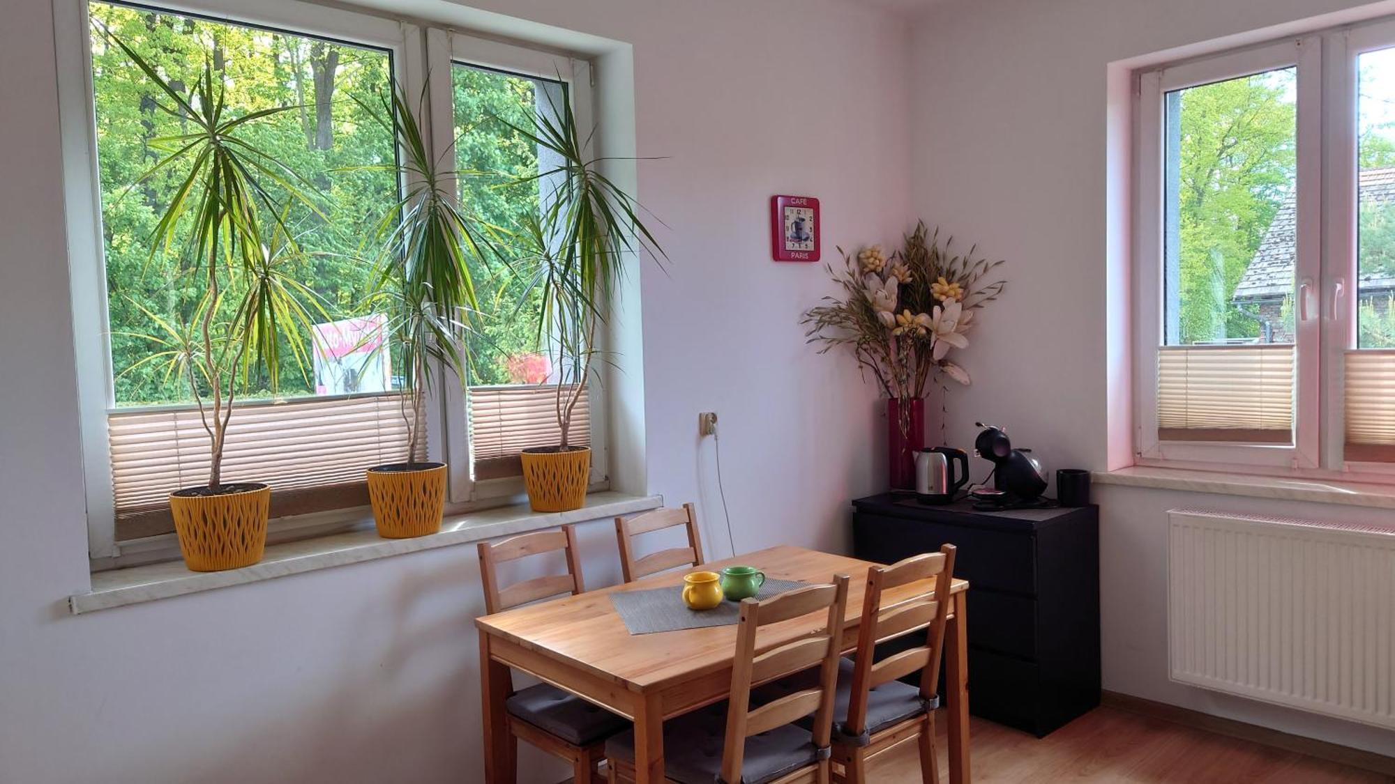 Apartament Natalia Zywiec Ngoại thất bức ảnh